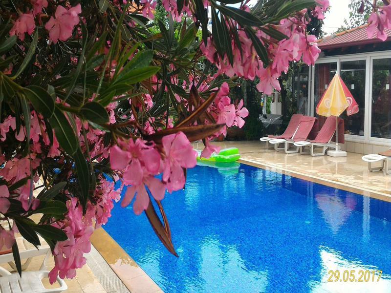 Cc'S Butik Hotel Ölüdeniz Exterior foto
